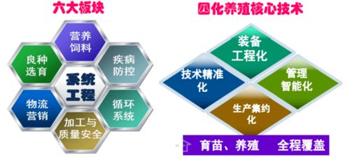 加快工廠化循環(huán)水養(yǎng)殖裝備技術(shù)創(chuàng)新 助推水產(chǎn)養(yǎng)殖綠色高效發(fā)展