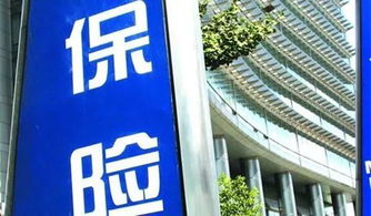 惠州人注意了,明天起,這些新規將影響你的生活